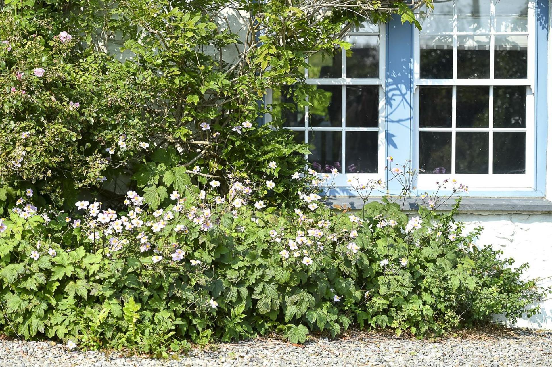 Pen Y Bryn Abersoch Exterior foto